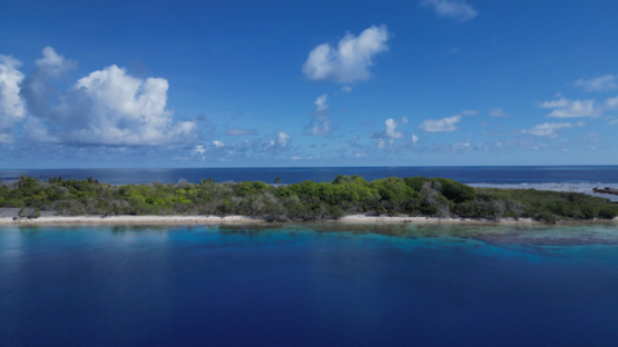 Aerial drone view of the atoll Tahanea, lagoon and islets, forest of coconut trees, 4K UHD