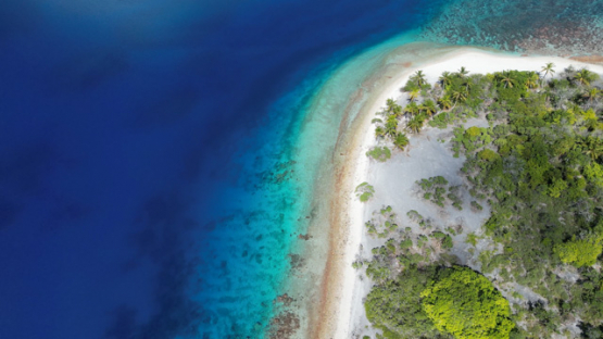Aerial drone view of the atoll Tahanea, lagoon and islets, forest of coconut trees, 4K UHD