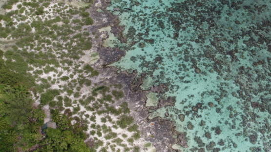 Aerial drone view of Moorea, coastline, 4K UHD