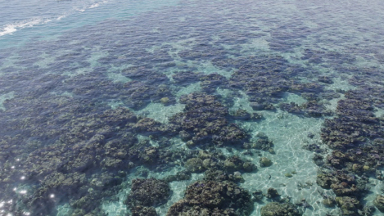 Aerial drone view of Moorea, coral reef, 4K UHD