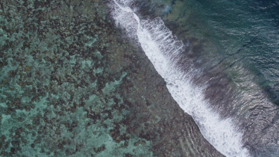 Aerial drone view of Moorea, above the barrier reef and shore break, 4K UHD