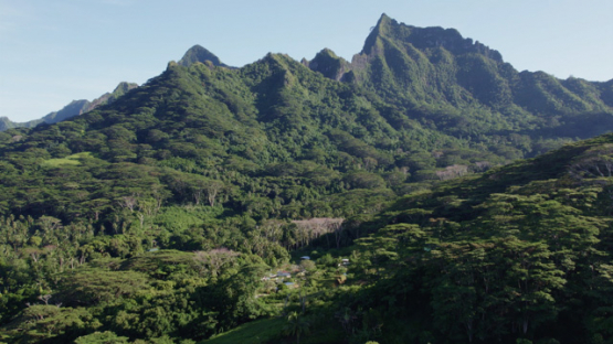 Aerial drone view of Moorea, mountains, 4K UHD