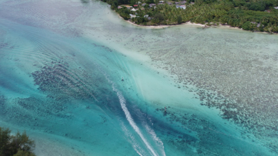 Aerial drone view of Moorea, coast line of Papetoai, 4K UHD