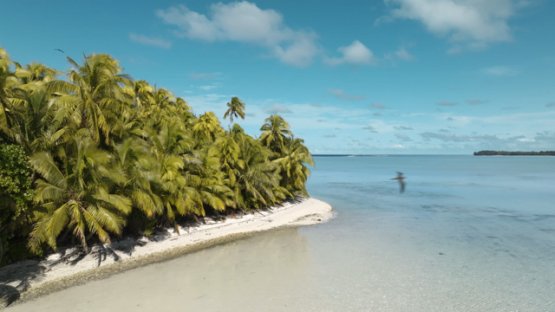 Aerial drone view of the atoll Tetiaroa, lagoon and islets, 4K UHD