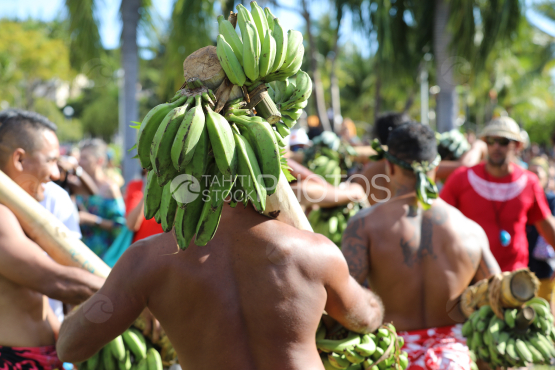 Tahiti, Polynesian men carrying bunches of bananas on their shoulders, Fruit Carrier Race, Tuaro Maohi, Polynesia