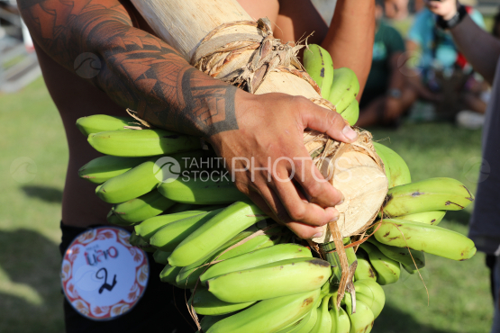 Tahiti, Polynesian men carrying bunches of bananas on their shoulders, Fruit Carrier Race, Tuaro Maohi, Polynesia