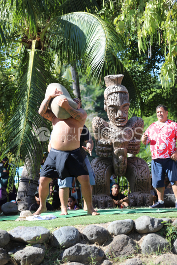 Tahiti, Man lifting a heavy stone, Stone lifting competition, Tuaro Maohi, Polynesia