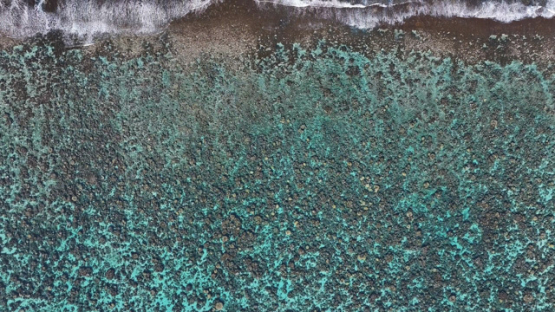 Aerial top down view of the barrier reef and shore break, 4K UHD
