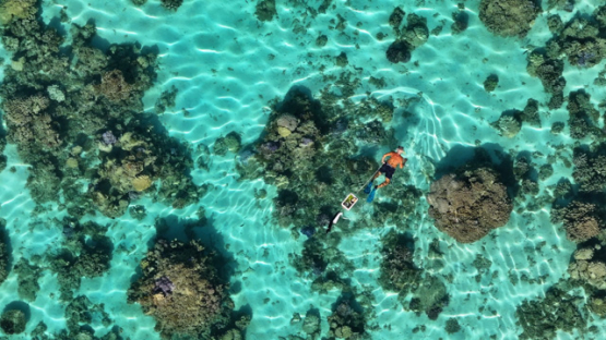Top down view by drone, spearfisher in the lagoon, 4K UHD