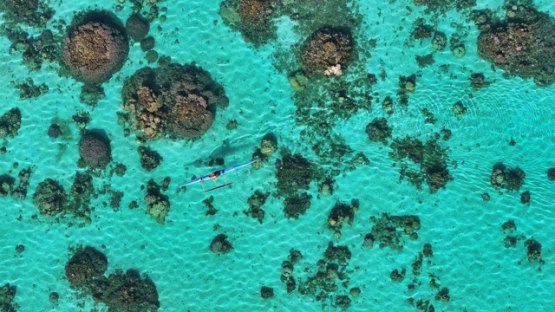 Aerial view by drone, Outrigger in the lagoon, French Polynesia, 4K UHD