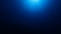 Sunlight from the surface, deep underwater, 4K UHD