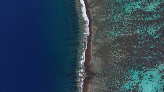 Aerial top down view of the barrier reef and shore break,  4K UHD