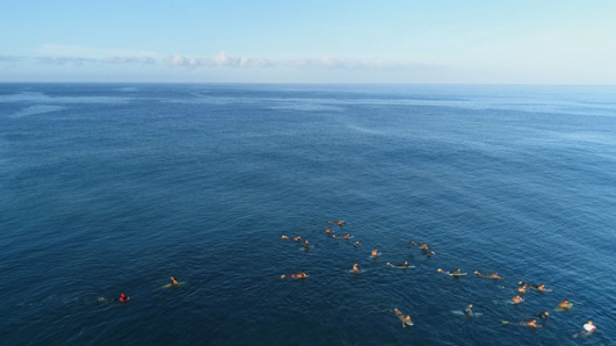 Aerial drone view, Surfers on the wave, Teahupoo, Peninsula of Tahiti, Polynesia, 4K UHD