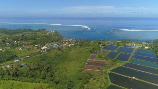 Aerial drone view, Teahupoo Village, Peninsula of Tahiti, Polynesia, 4K UHD