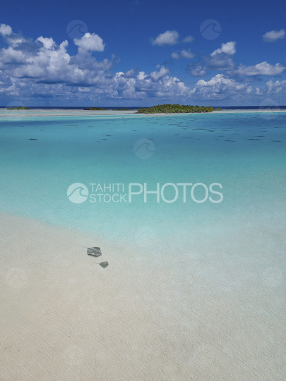 Rangiroa, sting rays, blue lagoon, atoll