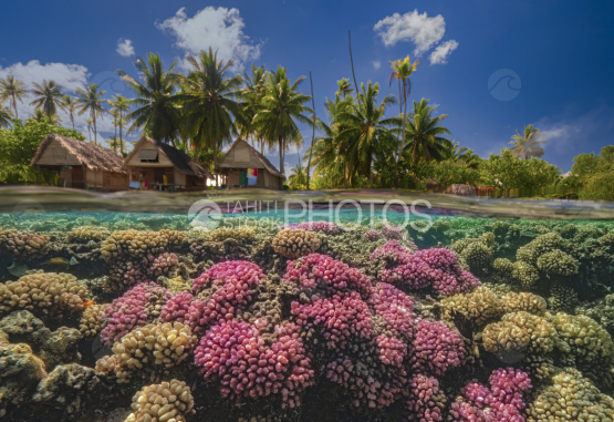 Fakarava, Tetamanu, atoll, Ocean, French Polynesia