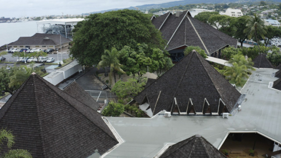 Aerial view by drone, Banian, Maison de la Culture, Papeete, Tahiti, French Polynesia, 4K UHD