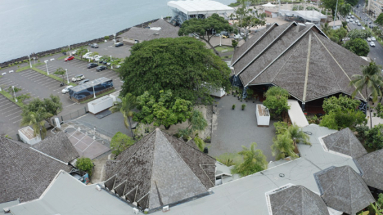 Aerial view by drone, Maison de la Culture, Banian tree, Papeete, Tahiti, French Polynesia, 4K UHD