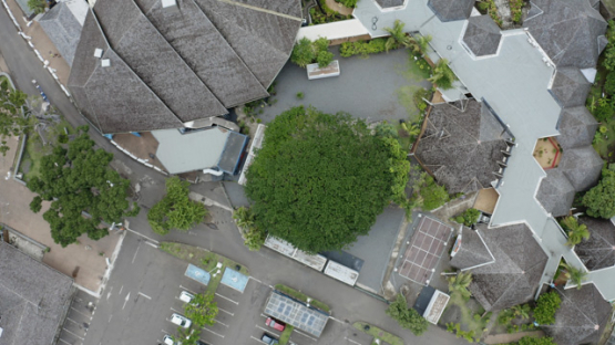 Aerial view by drone, Topview, Maison de la Culture, Papeete, Tahiti, French Polynesia, 4K UHD