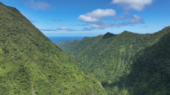 Aerial drone view, Titaaviri Valley, Papearii, Tahiti, 4K UHD