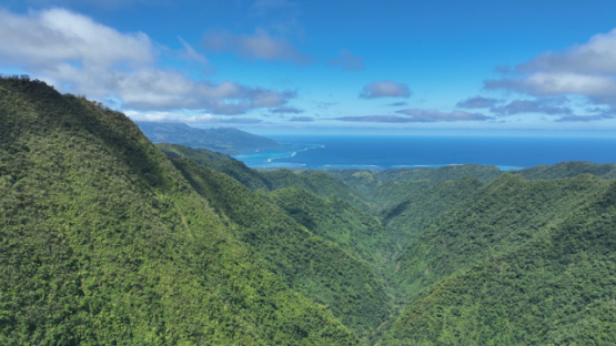 Aerial drone view, Titaaviri Valley, Papearii, Tahiti, 4K UHD