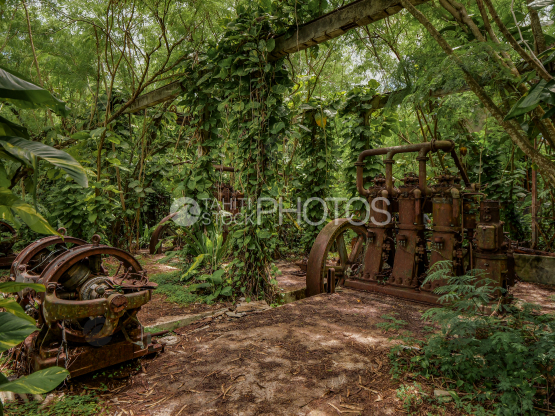 Old ruined, rusty Makatea factory, Tuamotu, Polynesia