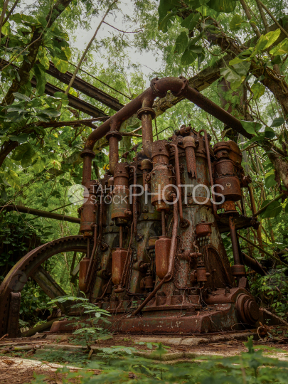 Old factory of Makatea, rust, ruine, Island, Tuamotu, French Polynesia