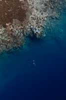 Spearfisher, Canoe, French Polynesia, Coral Reef, Aerial photography