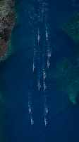 Tahiti, French Polynesia, Aerial Drone shot, Outrigger Race, Vaa Race