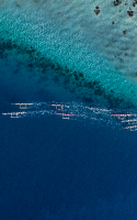 Tahiti, French Polynesia, Aerial Drone shot, Outrigger Race, Vaa Race