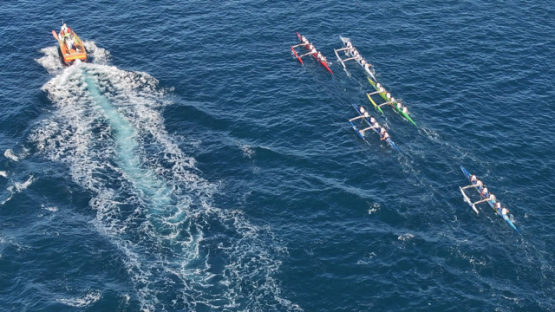 French Polynesia, outrigger Race, Vaa, Punaauia, Aerial drone shot, UHD 4K 