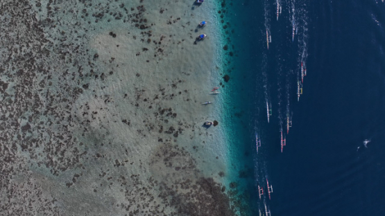 French Polynesia, outrigger Race, Vaa, Punaauia, Aerial top drone shot, UHD 4K 