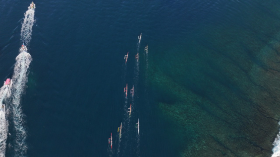French Polynesia, outrigger Race, Vaa, Punaauia, Aerial drone shot, UHD 4K 