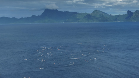 French Polynesia, outrigger Race, Vaa, Moorea, Aerial drone shot, UHD 4K 