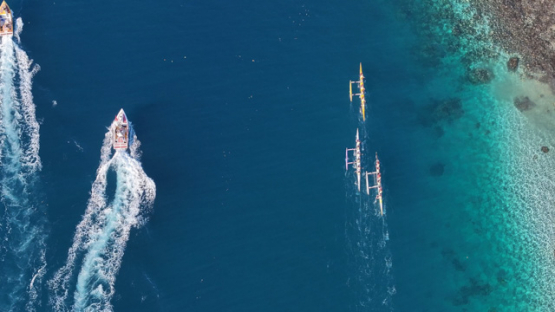 French Polynesia, outrigger Race, Vaa, Punaauia, Aerial drone shot, UHD 4K 