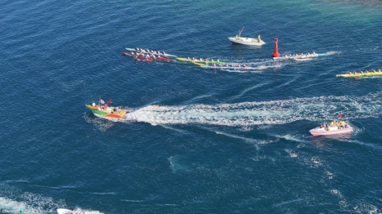 French Polynesia, outrigger Race, Vaa, Punaauia, Aerial drone shot, UHD 4K 