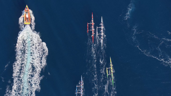 French Polynesia, outrigger Race, Vaa, Punaauia, Aerial drone shot, UHD 4K 