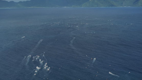 French Polynesia, outrigger Race, Vaa, Punaauia, Aerial drone shot, UHD 4K 
