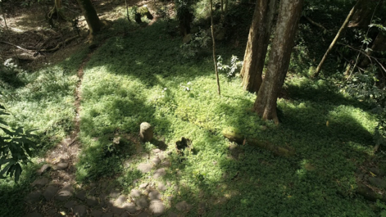 Aerial drone view, Smiling Tiki, Hiva Oa, Utukua, Marquesas islands, Polynesia, 4K UHD