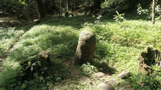 Aerial drone view, Smiling Tiki, Hiva Oa, Utukua, Marquesas islands, Polynesia, 4K UHD