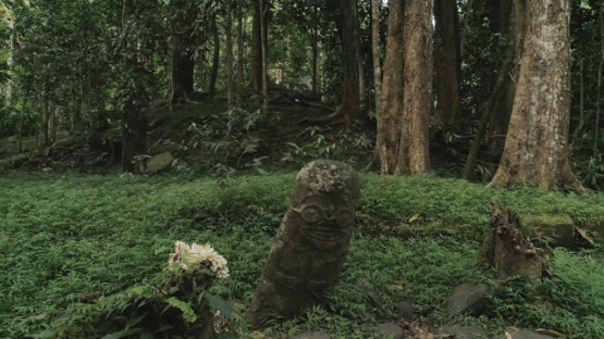 Aerial drone view, Smiling Tiki, Hiva Oa, Utukua, Marquesas islands, Polynesia, 4K UHD