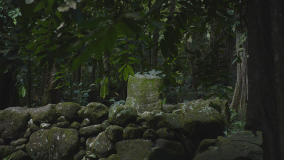 Archaeological Site of Upeke, Hiva Oa, Marquesas Islands, Polynesia, 4K UHD