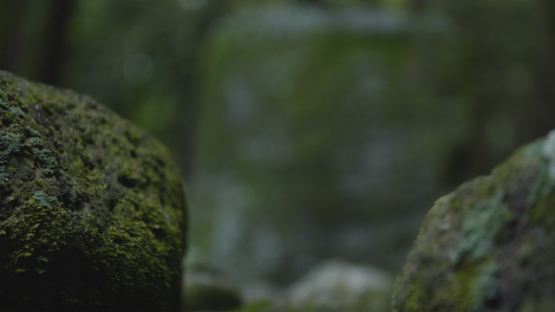 Archaeological Site of Upeke, Hiva Oa, Marquesas Islands, Polynesia, 4K UHD