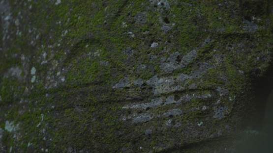 Archaeological Site of Upeke, Hiva Oa, Marquesas Islands, Polynesia, 4K UHD