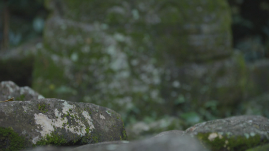 Archaeological Site of Upeke, Taaoa, Hiva Oa, Marquesas Islands, Polynesia, 4K UHD