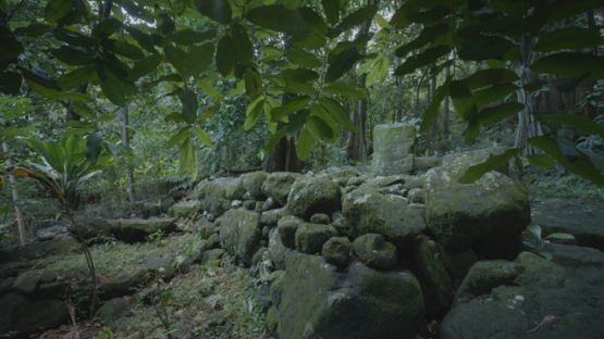 Archaeological Site of Upeke, Taaoa, Hiva Oa, Marquesas Islands, Polynesia