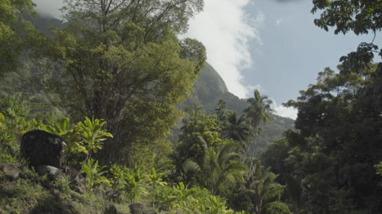 Archaeological Site of Upeke, Hiva Oa, Marquesas Islands, Polynesia