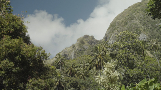 Archaeological Site of Upeke, Hiva Oa, Marquesas Islands, Polynesia