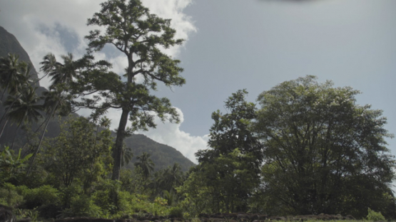 Ancient Stone Platforms Paepae at Upeke Site, Hiva Oa, Marquesas