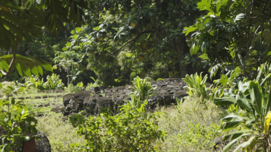 Ancient Stone Platforms Paepae at Upeke Site, Hiva Oa, Marquesas